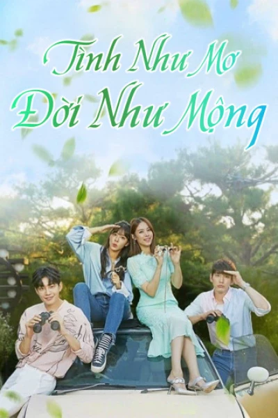 Tình Như Mơ Đời Như Mộng (2019)